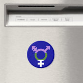 Aimant Drapeau Genderqueer Symbole Trans (In Situ (Lave-vaisselle))