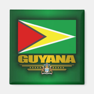 Aimant Drapeau Guyana