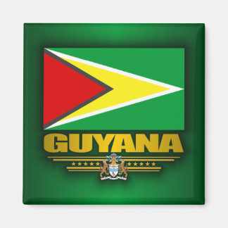 Aimant Drapeau Guyana
