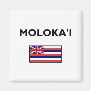 Aimant Drapeau Hawaï de Molokai USA Couleur claire