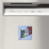 Aimant Drapeau irlandais (In Situ (Lave-vaisselle))
