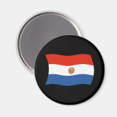 Aimant Drapeau Paraguayen (Recto/Verso)