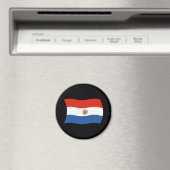 Aimant Drapeau Paraguayen (In Situ (Lave-vaisselle))