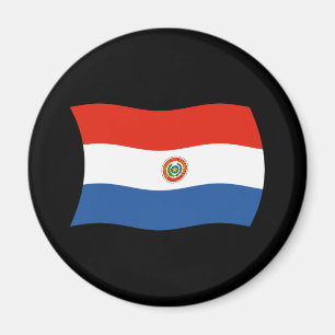 Aimant Drapeau Paraguayen