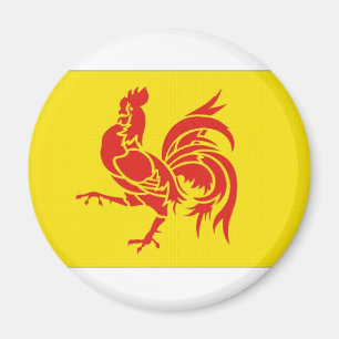 Aimant Drapeau wallon de région de la Belgique