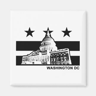 Aimant Drapeau Washington DC