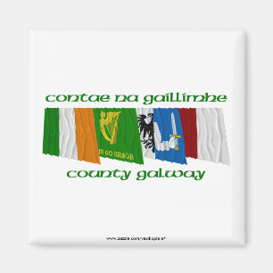 Aimant Drapeaux de Galway du comté