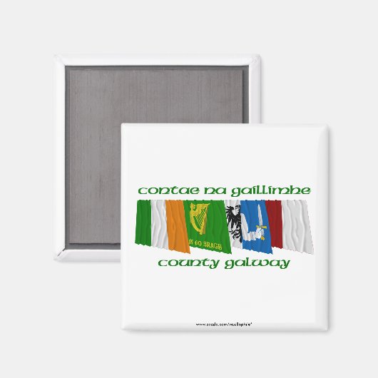 Aimant Drapeaux du comté de Galway (Recto/Verso)