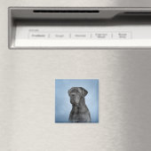 Aimant Drawing dog Cane Corso (In Situ (Lave-vaisselle))