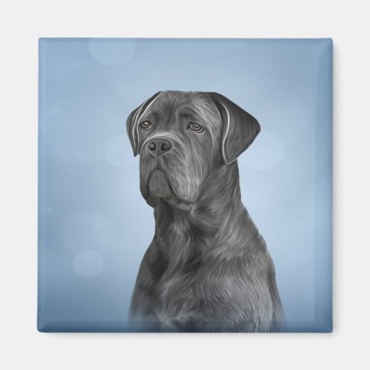 Aimant Drawing dog Cane Corso (Devant)