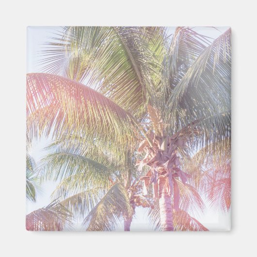 Aimant Dream Palm (Devant)