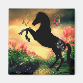 Aimant Dreamcatcher (Devant)