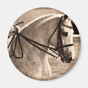 Aimant Dressage Grunge