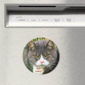 Aimant Drôle CHAT EN COLÈRE : "PAS AUJOURD'HUI !" (In Situ (Lave-vaisselle))