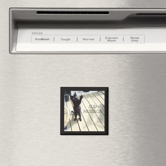 Aimant Drôle Chat Noir Swatant L'Air Dehors (In Situ (Lave-vaisselle))