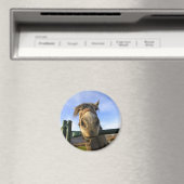 Aimant Drôle Cheval (In Situ (Lave-vaisselle))