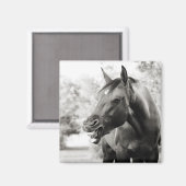 Aimant Drôle Cheval de Rire (Recto/Verso)