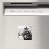 Aimant Drôle Cheval de Rire (In Situ (Lave-vaisselle))