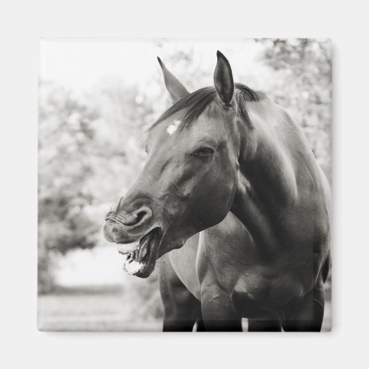 Aimant Drôle Cheval de Rire (Devant)