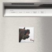 Aimant Drôle Cheval : foin ! (In Situ (Lave-vaisselle))