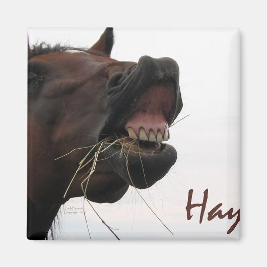 Aimant Drôle Cheval : foin ! (Devant)
