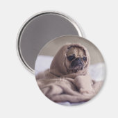 Aimant Drôle chien (Recto/Verso)