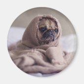 Aimant Drôle chien (Devant)