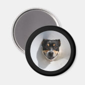Aimant Drôle chien souriant (Recto/Verso)