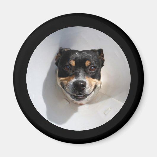 Aimant Drôle chien souriant (Devant)