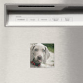 Aimant Drôle Chien Sticking Tongue Out Photo (In Situ (Lave-vaisselle))