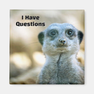 Aimant Drôle de suricate J'ai des questions Humour animal