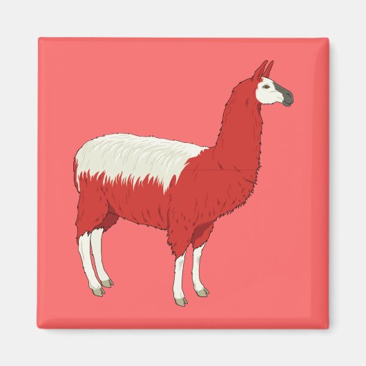 Aimant Drôle Llama Rouge (Devant)
