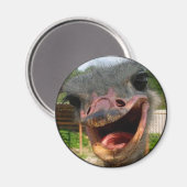 Aimant Drôle Ostrich Bird Photo What's Up (Recto/Verso)