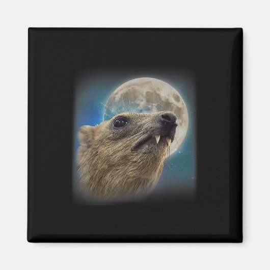 Aimant Drôle Rock Hyrax Avec Mème Lune (Devant)