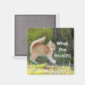 Aimant Drôle Surpris Ginger Kitten. Quelle merde ? (Recto/Verso)