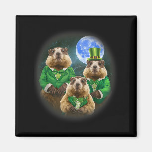 Aimant Drôle Trois Marmotte Lune 3 Tête de Marmotte St Pa