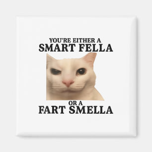 Aimant Drôle Vous Avez Soit Une Fella Intelligente Soit U
