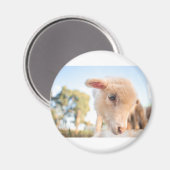 AIMANT _DSC2491 (Recto/Verso)