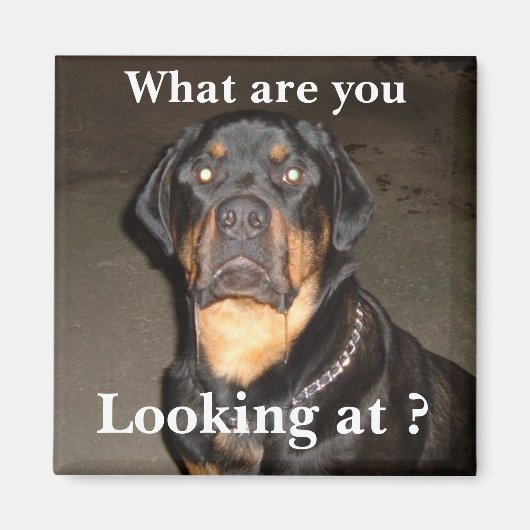 Aimant DSCF0490, Qu'est-ce que vous regardez ? (Devant)