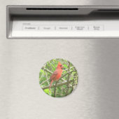 Aimant du Cardinal du Nord (In Situ (Lave-vaisselle))