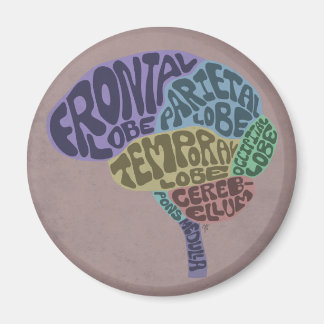 Aimant du cerveau
