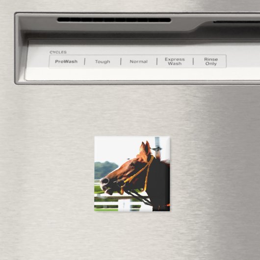 Aimant du cheval de course (In Situ (Lave-vaisselle))