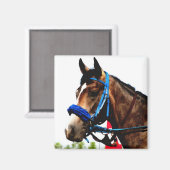 Aimant du cheval de course (Recto/Verso)