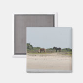 Aimant du Cheval sauvage (Recto/Verso)