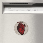 Aimant du coeur humain (In Situ (Lave-vaisselle))