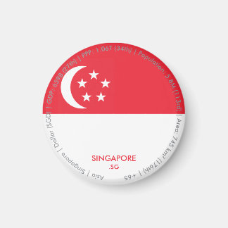 Aimant du drapeau de Singapour