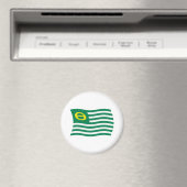 Aimant du drapeau du mouvement écologique (In Situ (Lave-vaisselle))