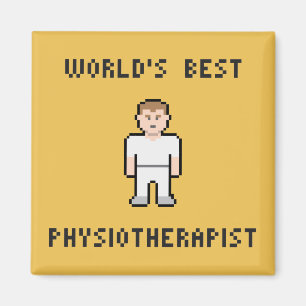 Aimant du physiothérapeute du monde de pixel le