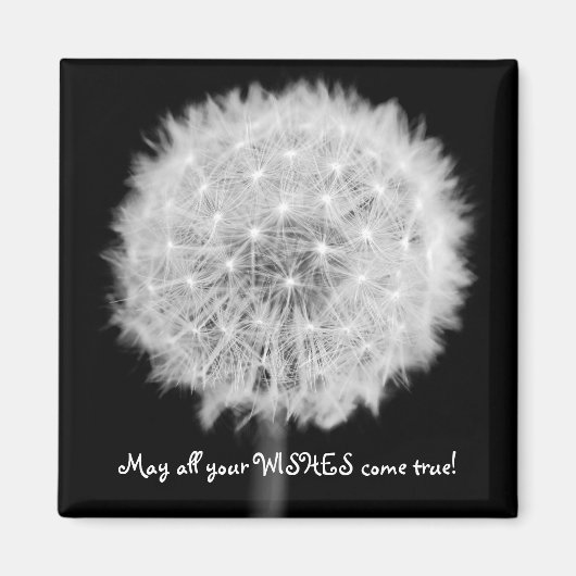 Aimant du réfrigérateur Dandelion (Devant)