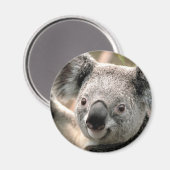 Aimant du réfrigérateur de l'ours Koala (Recto/Verso)